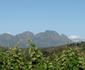 Zevenwacht Wine Estate