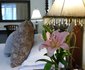 174 Premier Guest House