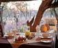 Bateleur Tented Safari Lodge