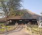 Grassland Safari Lodge
