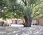 African Sky Guest House