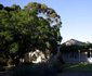 Blue Gum Country Estate