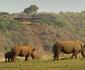 Nkwazi Lake Lodge
