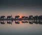 Jabulani Safari