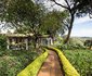 Gibb's Farm