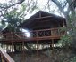 Lion Tree Top Lodge