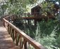 Lion Tree Top Lodge