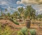 The Kraal Addo