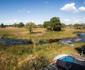 Jackalberry Tented Camp