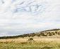 Shakama Guest Farm