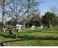 Westridge