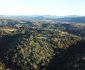 Green Hills Forest Lodge