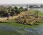 Jumbo Junction Camp
