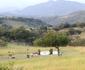 @Nature Luxury Self catering Cottages