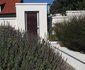 The Blue Lotus Guesthouse