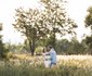 Farmstays at Rosemary Hill