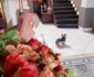 The Richmond Karoo Small Hotel