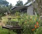 The Bird Hide