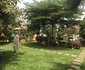 Dove Resort LTD