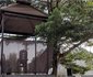 Naturemark Gallery & Guest House