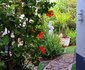 Aletheim Guest House Collection