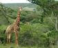 Simbonga Game Reserve & Sanctuary