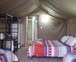 Thwane Bush Camp