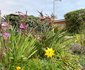All African Colours Guest House