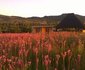 Ixopix Earth and Sky Cottages