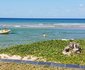 Sia Sente Estate Mozambique