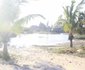 Sia Sente Estate Mozambique