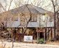 Majuli Tree Lodge