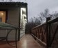 Majuli Tree Lodge