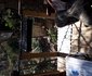Loerie Cabin