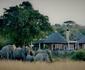 Nambiti Plains Private Game Lodge