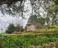 Lind End Guest Farm