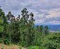 Lind End Guest Farm