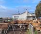 Melk Houte Bosch Guest Farm