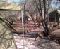 Rustic Bush Camp- Self-catering
