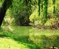 Riverstill Guest Farm