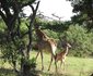 La Barune Game Lodge