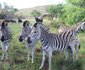 La Barune Game Lodge