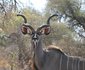 La Barune Game Lodge