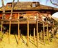 Fish Eagle Log Cabin