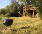 Fish Eagle Log Cabin