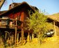 Fish Eagle Log Cabin