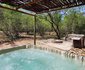 Bush Beach Olifant