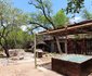 Bush Beach Olifant