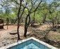 Bush Beach Olifant