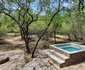 Bush Beach Olifant